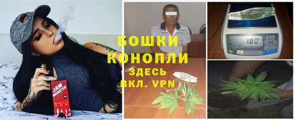 соль ск Бикин