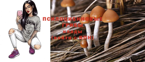 меф Новозыбков