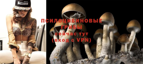 соль ск Бикин
