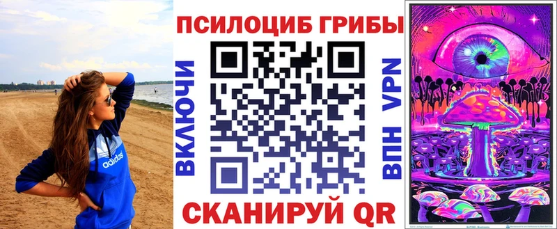 где купить наркотик  Курганинск  Псилоцибиновые грибы мицелий 