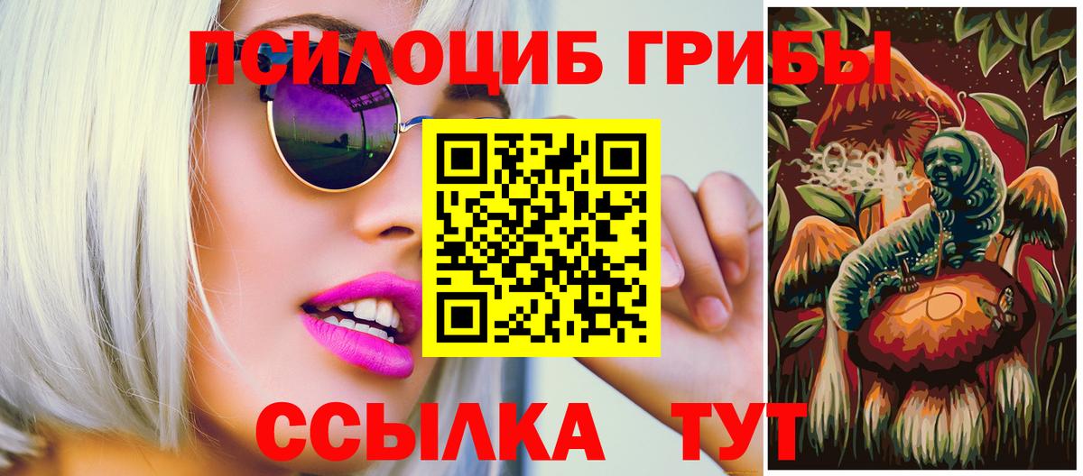 Псилоцибиновые грибы Psilocybine cubensis  Вход с VPN  Курганинск  Псилоцибиновые грибы прущие грибы 
